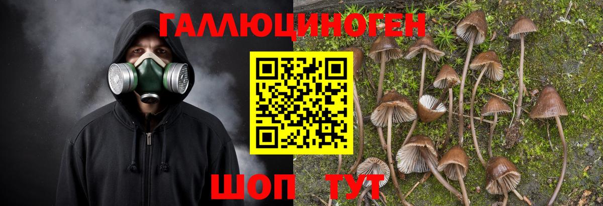 Псилоцибиновые грибы мицелий Салават